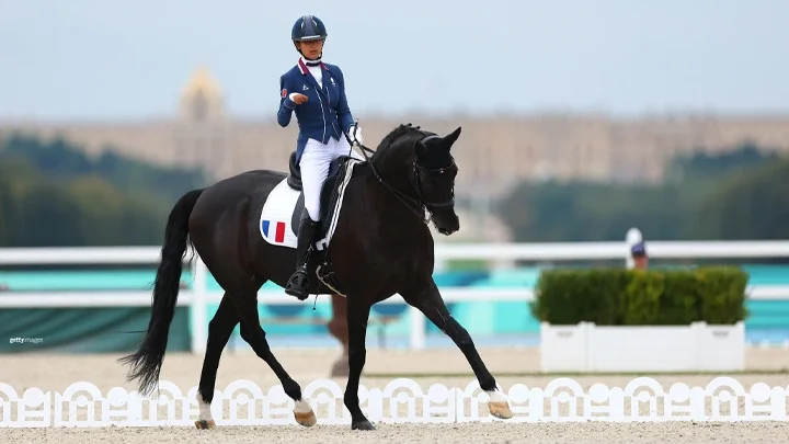 A rider in a navy blue uniform with white pants and a navy blue helmet is riding a dark brown horse in an equestrian event. The rider has a number 407 and a French flag emblem on the saddle pad. The horse is moving in a dressage arena with white decorative fencing and a flower arrangement in the foreground. The arena surface appears to be light-colored sand.