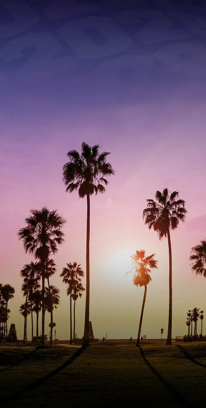 Photograph of palm trees in the foreground at sunset with a purple sky in the background