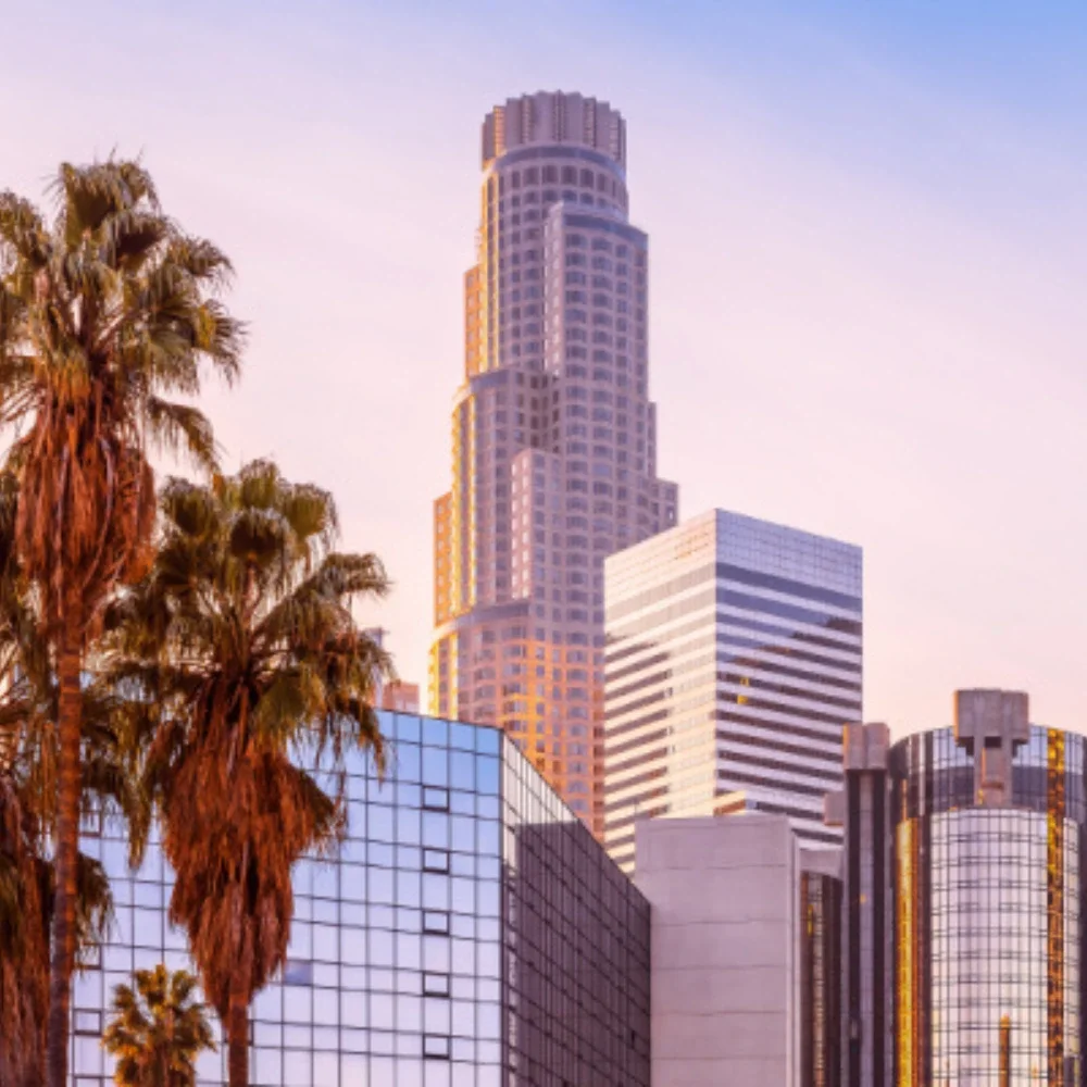 DTLA skycrapers in the forefront at sunset with a palm tree flanking the image on the left hand side
