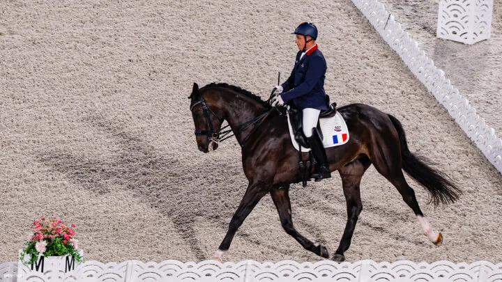 A rider in a navy blue uniform with white pants and a navy blue helmet is riding a dark brown horse in an equestrian event. The rider has a number 407 and a French flag emblem on the saddle pad. The horse is moving in a dressage arena with white decorative fencing and a flower arrangement in the foreground. The arena surface appears to be light-colored sand.