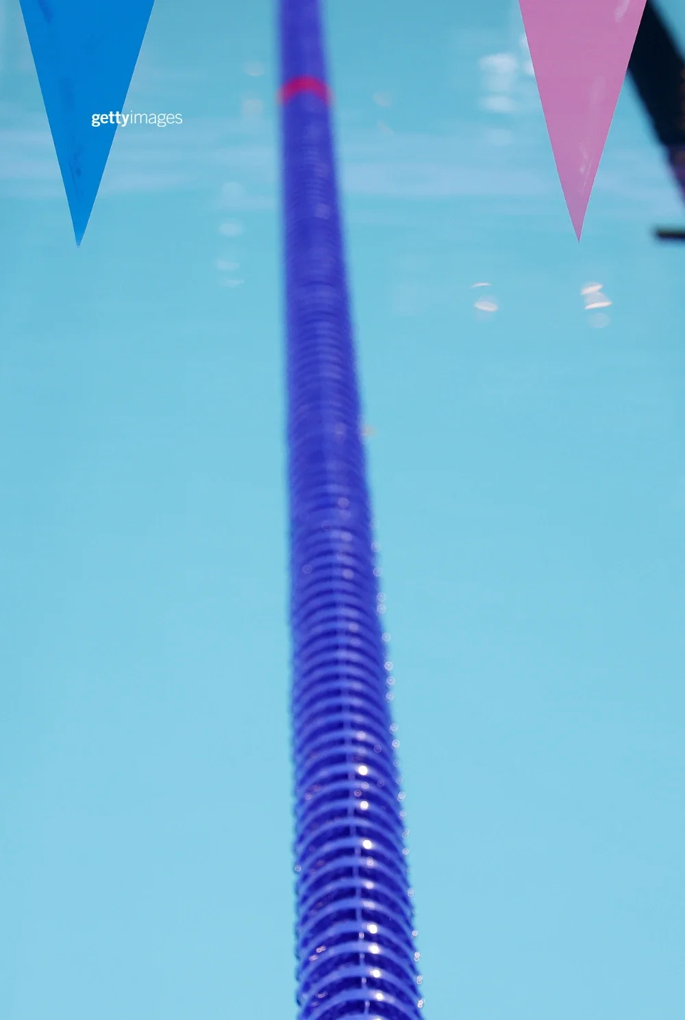 Photograph close up of swimming lanes from an Olympic competition at the Paris 2024 Games