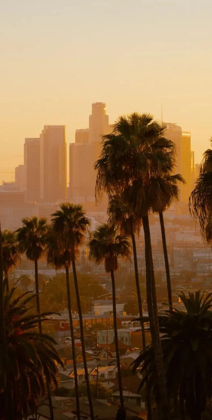 skyline photo showing the city of LA at dusk with the skyrises in the background and palm trees in the foreground