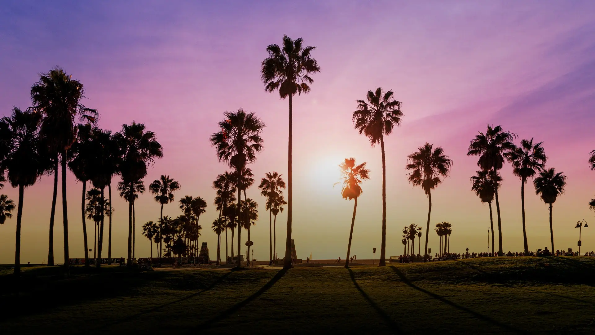 LA28 Marks 1,000 Days Out Until Los Angeles’ First Paralympic Games image